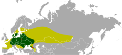 Mapa-zubr-europejski.png