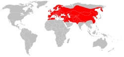 Mapa-wydra-europejska.png